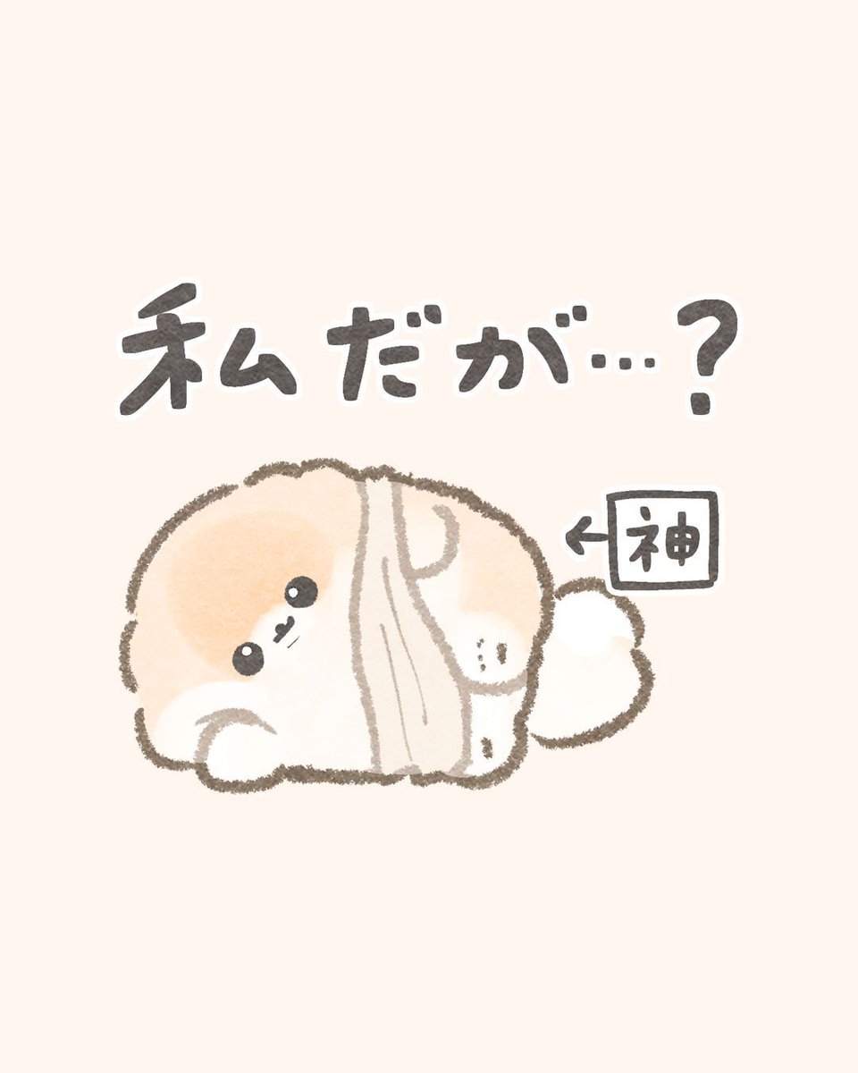 ぽめちです ちゃっかりタイプのぽぽ神꒰ ՞•ﻌ•՞ ꒱🪄
