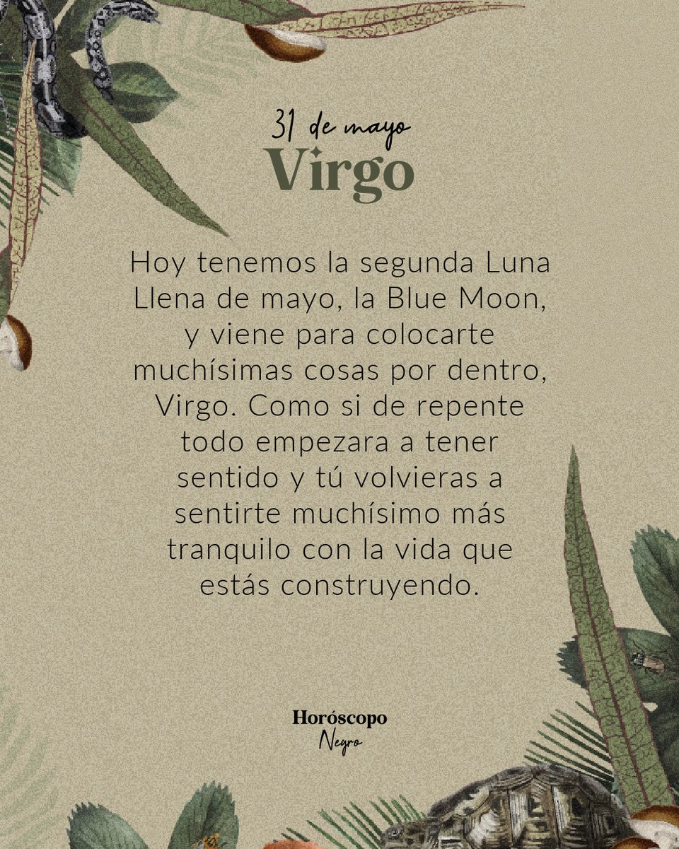 virgo_hn's tweet photo. ✨ ♍ ✨ https://t.co/xoA77UhpYr