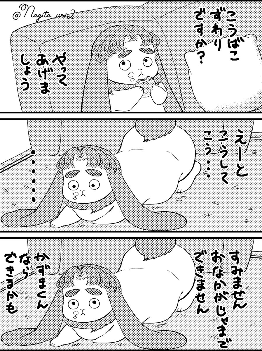 Nagita_uri2's tweet photo. 香箱座りを披露してくれるうさずま https://t.co/olPmG0aDr3