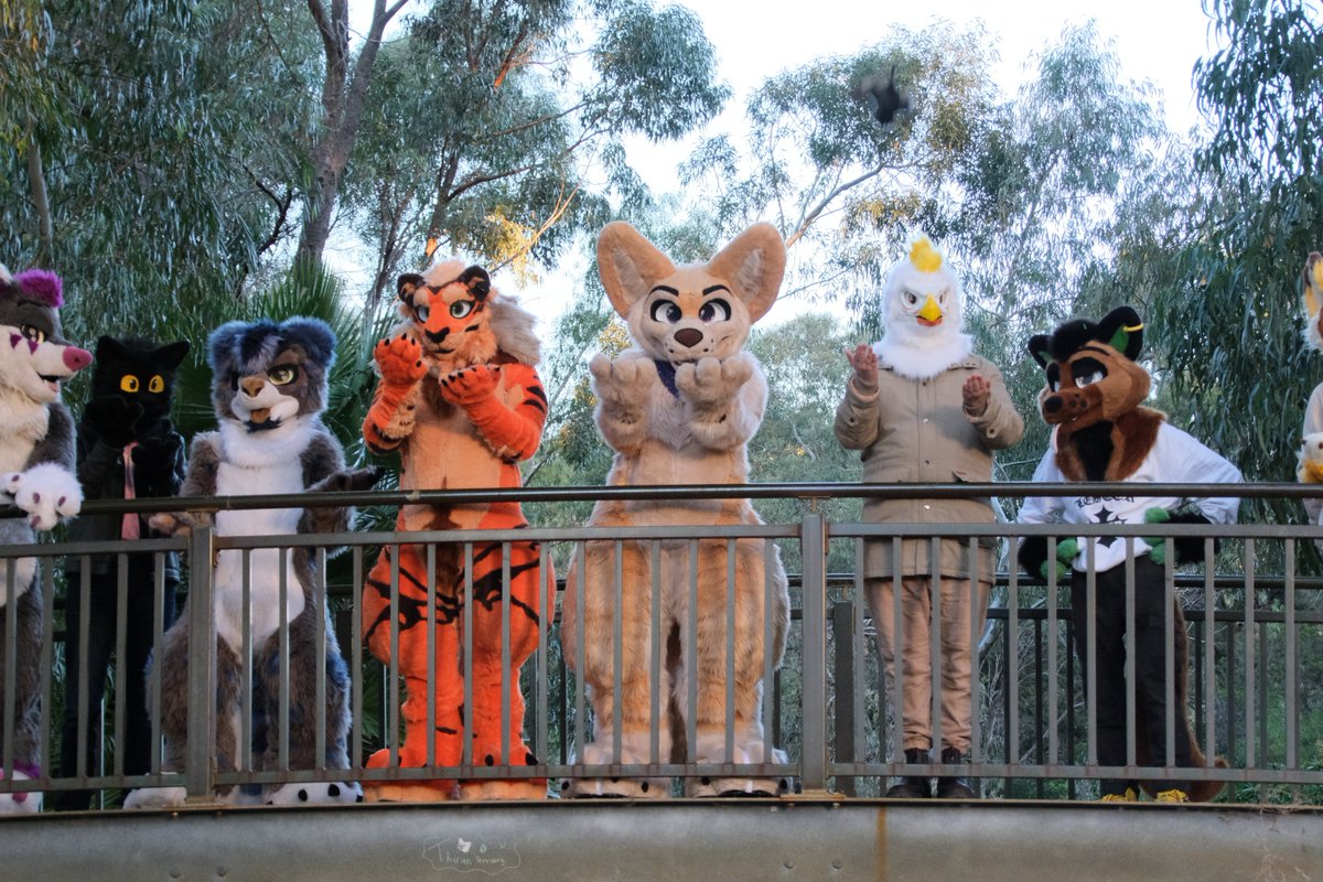 RustyOverlord's tweet photo. IM SO FUKIN ORANGE
#furry #fursuit #tigon https://t.co/Q13kMk52gr