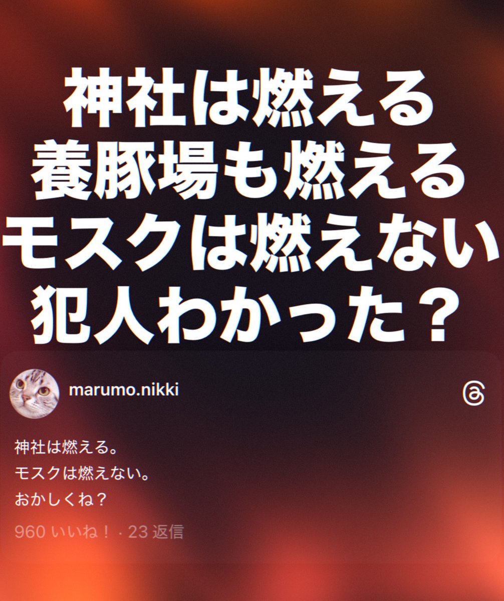 🇯🇵千野みゆき🎌🍀💕 tweet media