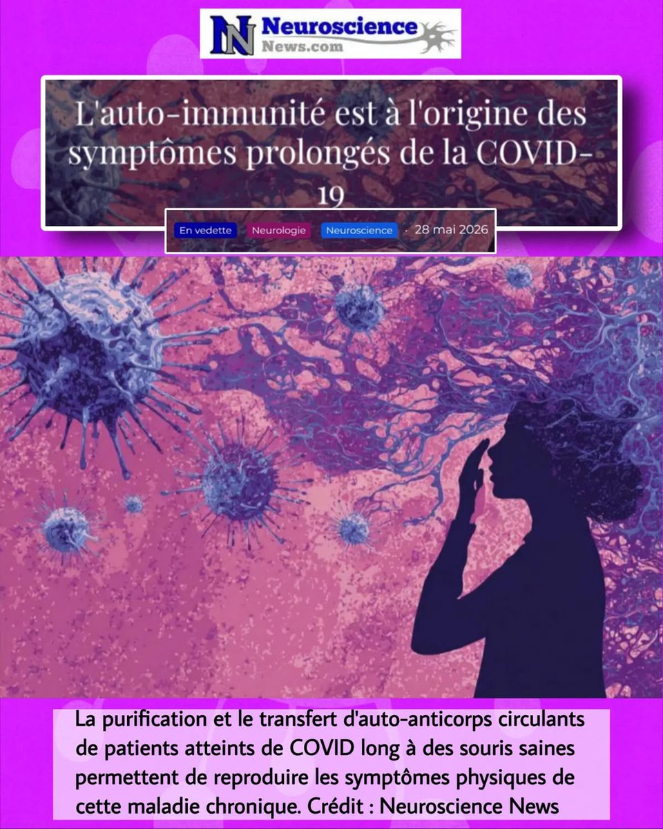apresj20's tweet photo. 🧵🧠Une étude du Mount Sinai explore un mécanisme immunologique dans le #CovidLong : chez un sous-groupe de patients, des auto-anticorps pourraient cibler des tissus nerveux et vasculaires et être associés aux symptômes persistants.

#ApresJ20 https://t.co/6scceXyPgO