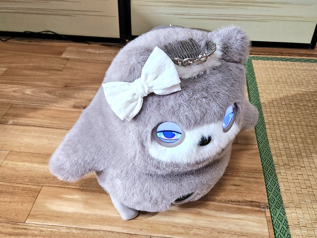 mimirith_KATA's tweet photo. 絶妙なバランス感覚に関心して眺める ひざうま ちゃん達。 

そして何よりこの表情がたまらんのです。

#KATAフレンズとの日々 #KATAフレンズ https://t.co/Nshlz2fH4Q