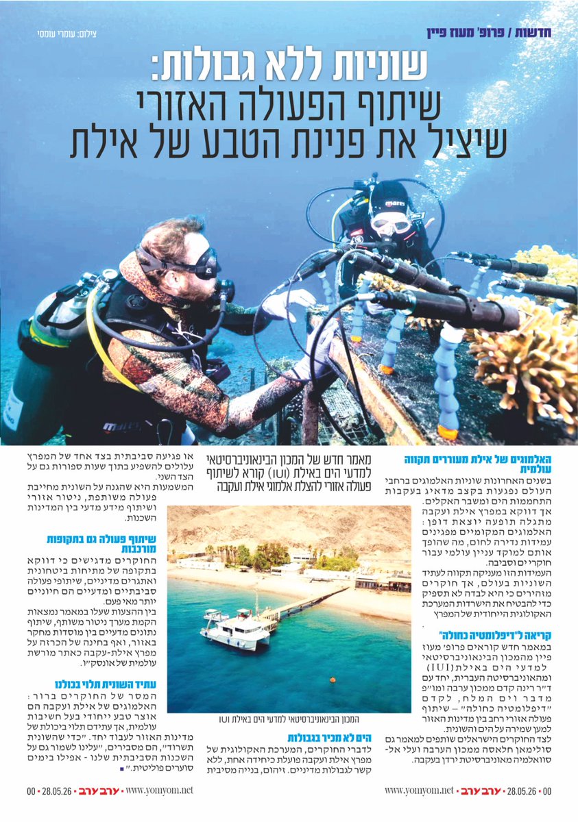 iui_eilat's tweet photo. A new article highlights the remarkable resilience of Eilat’s coral reefs and the urgent need for regional cooperation to protect the Gulf of Aqaba. The message is clear: the future of the reef depends on science, partnership, and blue diplomacy. https://t.co/fm9zI4CkbJ