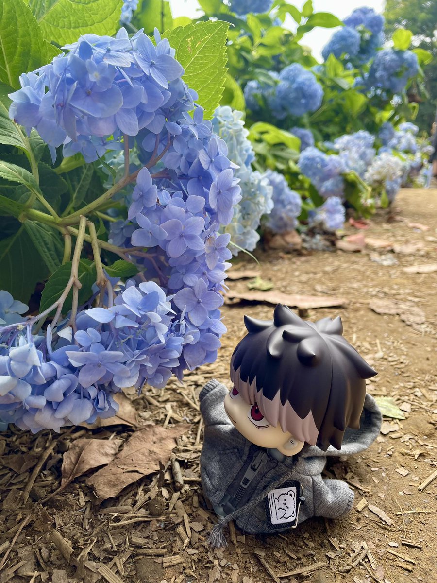 AimerKazusa's tweet photo. 借物小精靈鳴海弦 https://t.co/arGDj6L8FW