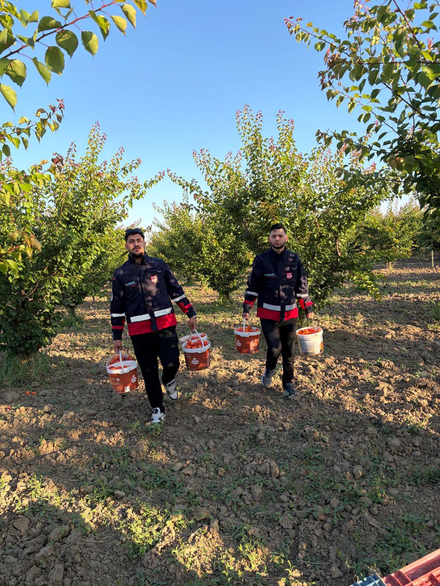 TugvaManisa's tweet photo. 📍 TÜGVA Destek Her Yerde!

Destek Birimimiz, sabahın ilk saatlerinde emekçi çiftçilerimizi ziyaret ederek yanlarında oldu.

Alın teriyle üreten, toprağa emek veren çiftçilerimizin destekçisi olmaya devam ediyoruz. https://t.co/ncIh9eQ3p5