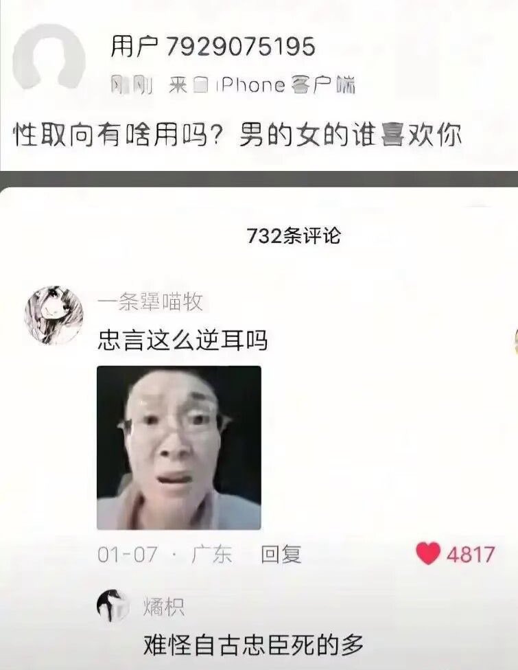 雲鳩 tweet media