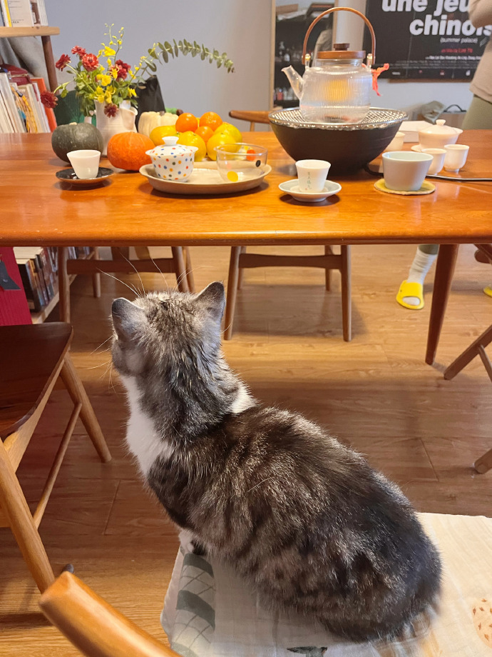 SimaaSimonka147's tweet photo. Today’s mood is a mix of tired but warm—sipped my favorite tea while petting my cat after work, small joys hit different. https://t.co/gaTPjYtR0r