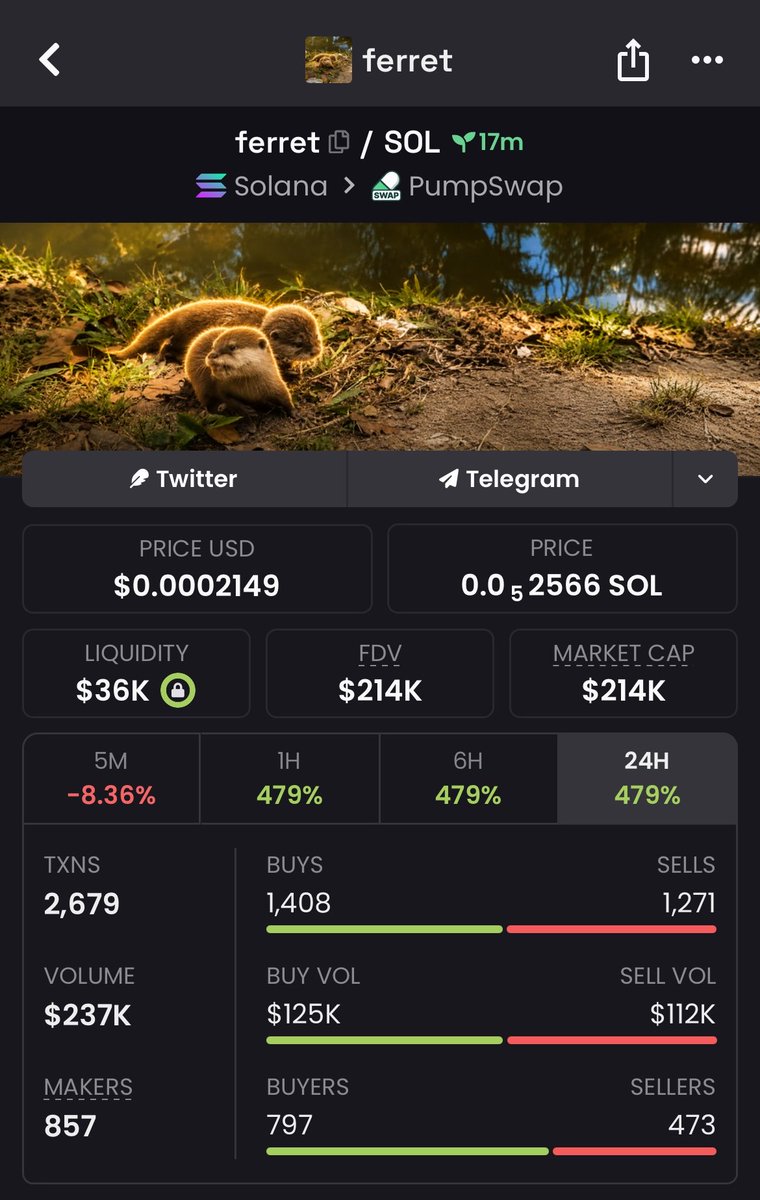 TrailblazerMeme's tweet photo. $ferret From $13K MC to $214K MC 🚀

Smart money moves early.
The private TG delivered again 💯
More plays coming.
Follow + 📩 DM me for access to the TG &amp; Discord before the next breakout.
CA: 👇 
A8fMFein3XC5fJ4KZdZpie4GH4jZxxg8af1c5rafpump
#memecoin #bbvipks4 https://t.co/39ChF4JK6i