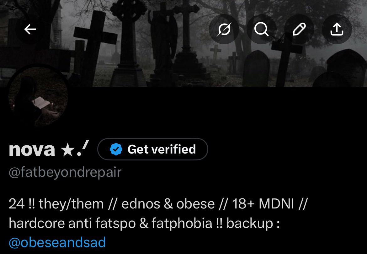 nova ⭑.ᐟ tweet media