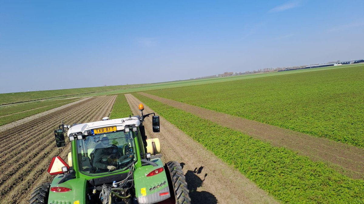 AerialServiceNL's tweet photo. Onze dronezaaiingen laten nu al mooie resultaten zien in de aardappelen...#NKGDuo #Frieslanders #AirpowerForTheDutchFarmers #LandbouwLuchtvaartNederland #NextLevelFarming #NietPratenMaarDoen https://t.co/wpDD8r2qaf