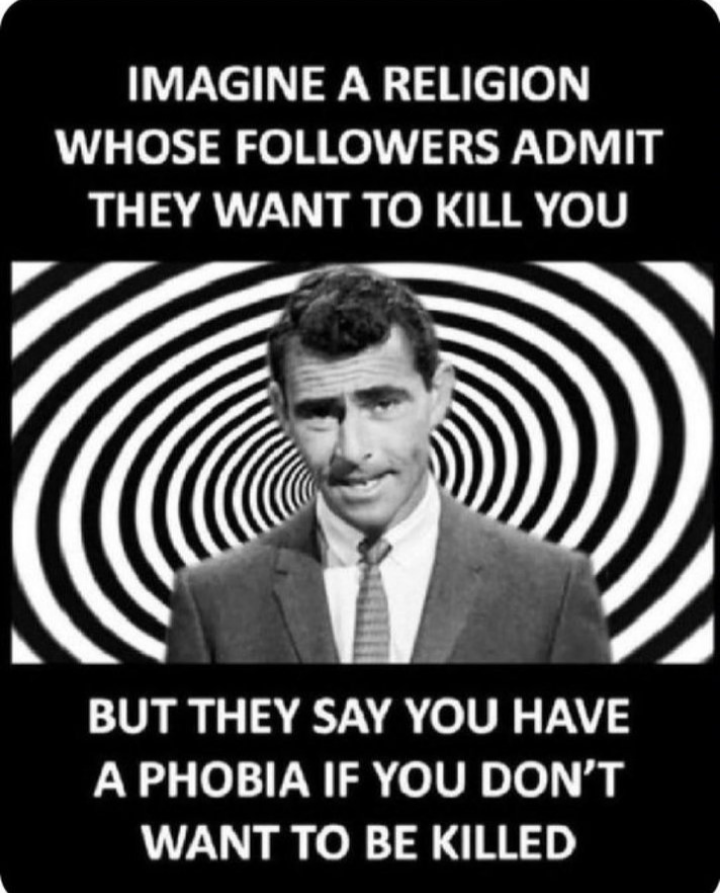 🪻Periwinkle🪻 tweet media