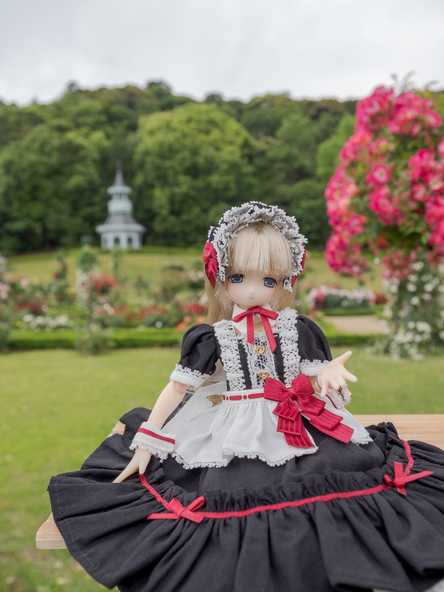 mia_magistra's tweet photo. こちらの素敵なお洋服はゆらら様(@StudioYurara)からお迎えしてました。
#アゾカツ https://t.co/wMspwGsr6D
