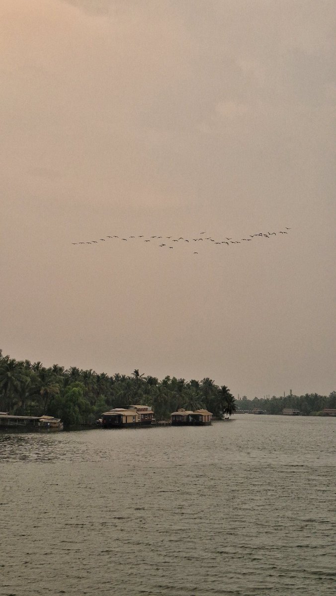 BBinduB's tweet photo. Enjoying the dusk from a houseboat at Nileshwar @KeralaTourism https://t.co/UlM8mXOEWE