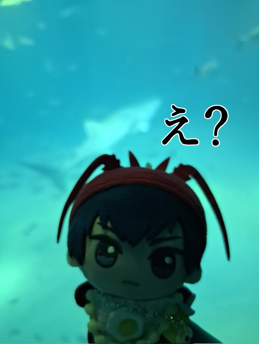 りょう (@ri25_z) / Posts / X