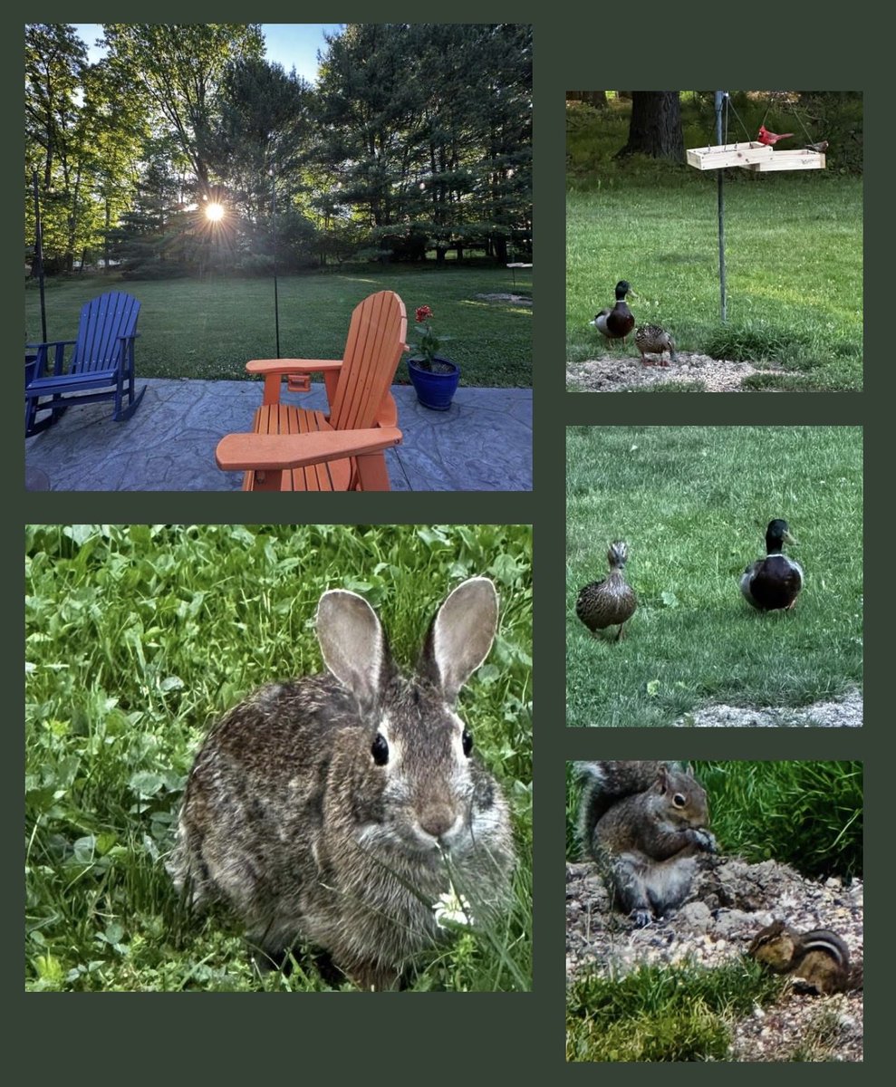 profbkelley's tweet photo. ☕️ with friends this morning at sunrise ☀️#SundayVibes https://t.co/o10WLSfBLO
