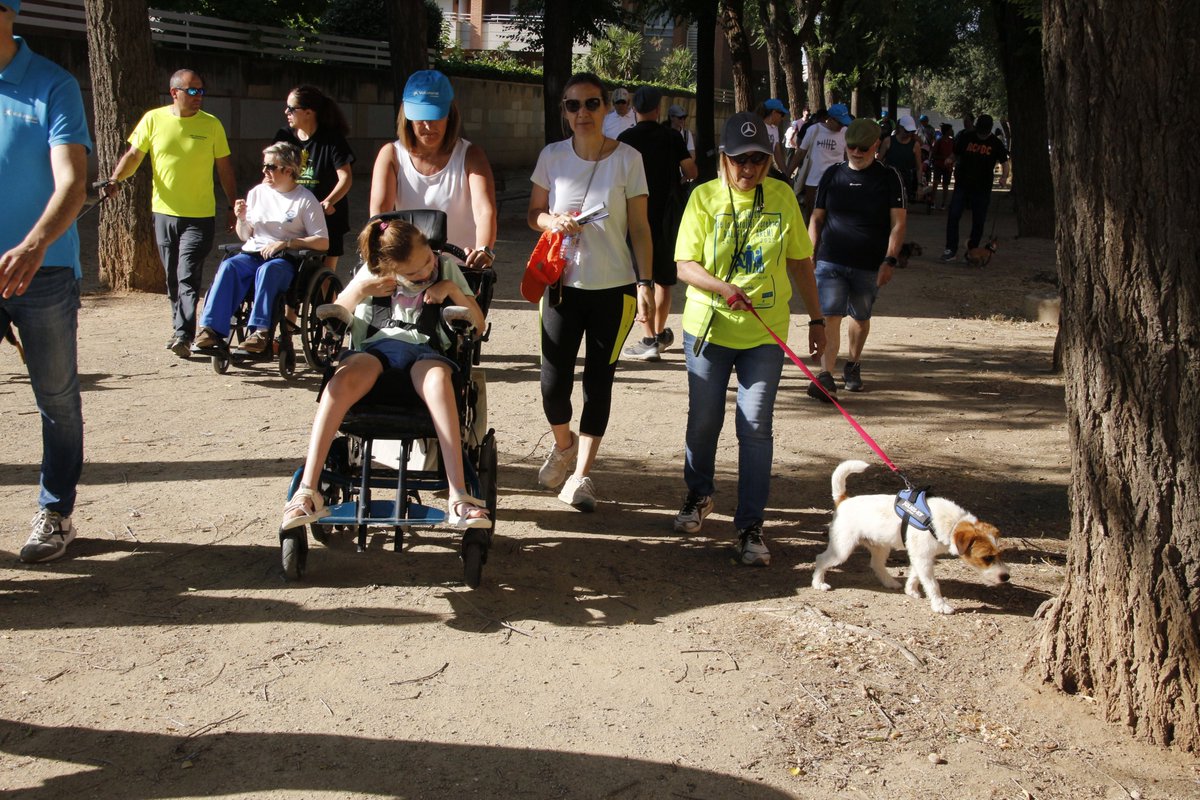 VeteriLleida's tweet photo. La 4a Caminada amb Mascotes de Lleida ha tornat a ser una jornada plena de solidaritat, convivència i compromís amb la tinença responsable. 🐾
Des del COVLL estem molt contents d’haver-hi participat i col·laborat un any més en una iniciativa tan especial.
Felicitats a AREMI💚 https://t.co/NH6FKuCUZP