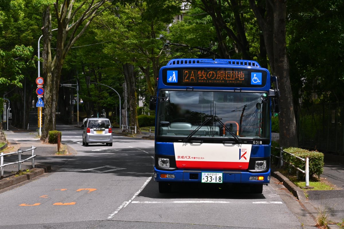 mkpsub's tweet photo. 京成バス千葉ウエスト 松戸東営業所
6318号車(2PG-LV290N3)
4台目の塗装変更車です。 https://t.co/B6PVyQYpZV