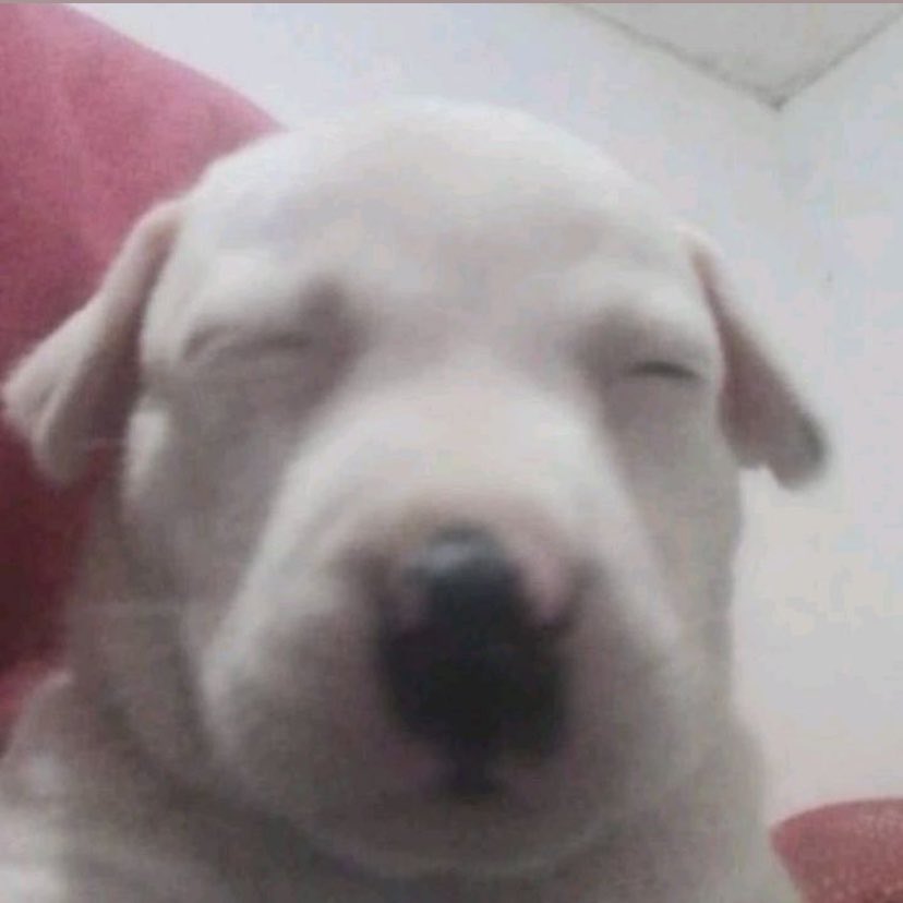 ttaehvante's tweet photo. fui querer dar uma de loba e puxar assunto com o menino bonitinho da academia no instagram e fiquei no vácuo https://t.co/eeR1ejSY8s