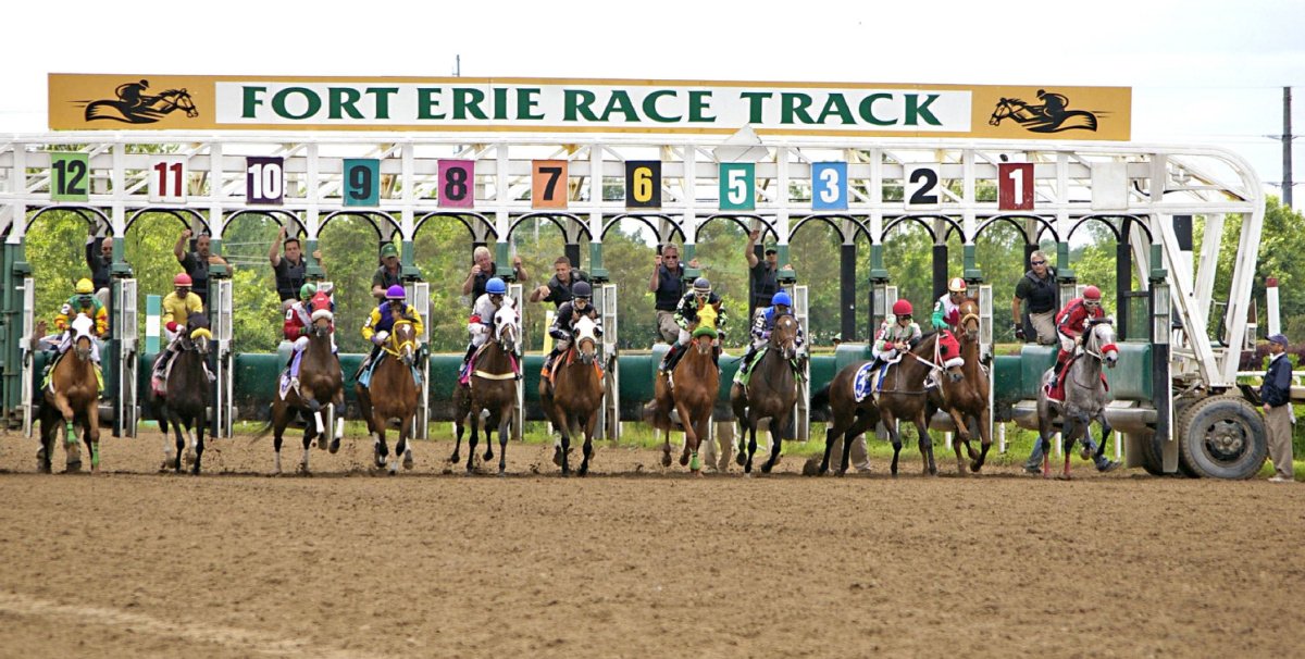 HPIbet's tweet photo. Fort Erie Opening Day | 🎉

@Forterieracing 
⏰| First Post 12:20 p.m. ET 
🔢| 8 Races 
🏆| Race 5 - $30k Summer Solstice Cup 
🏆| Race 8 - $30k Sprint into Summer Cup 

Watch and wager at https://t.co/sVZBWSqgZa https://t.co/QIlR0DO3Q2