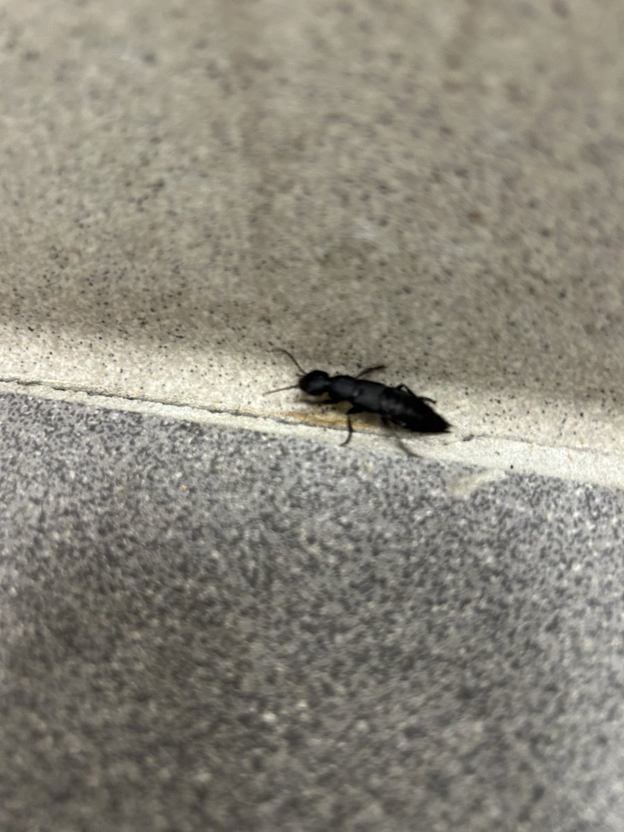 oki ui tweet media