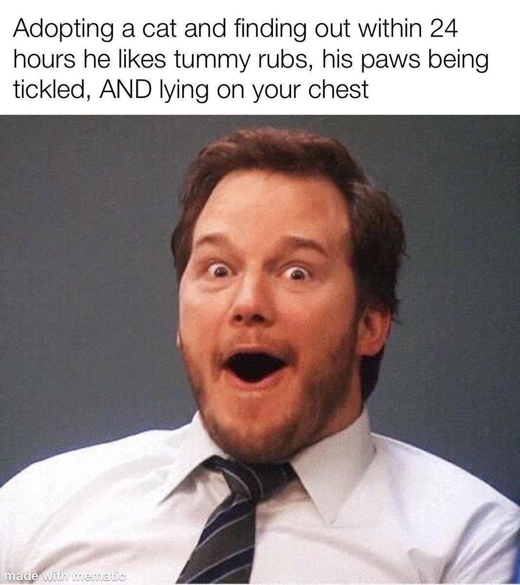 WholesomeMeme's tweet photo. https://t.co/bBD0mxpLvq