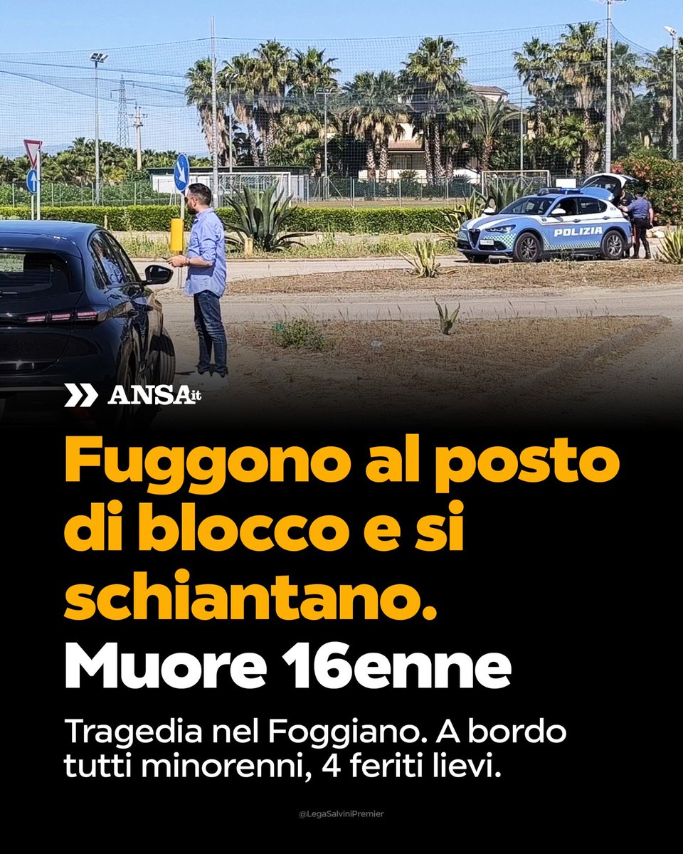 Matteo Salvini tweet media