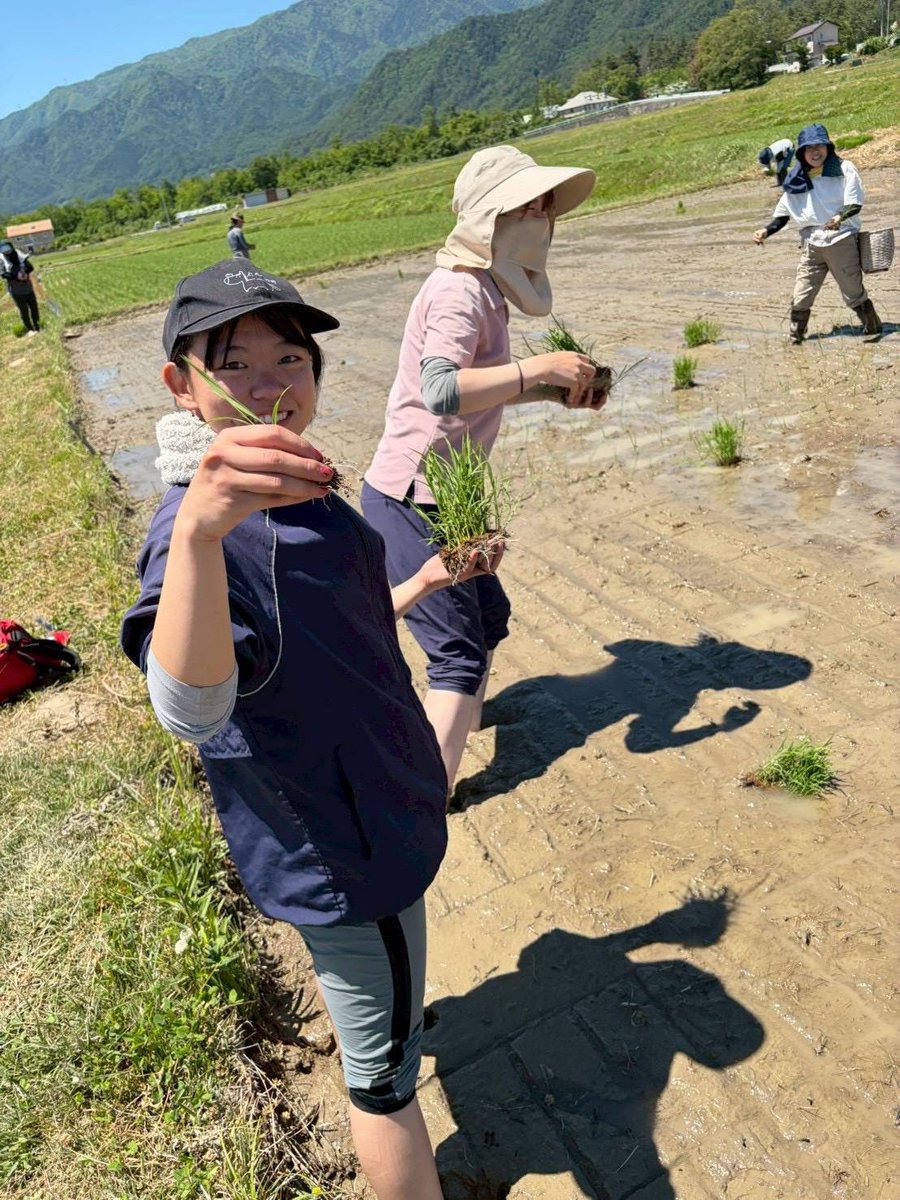maroshiru2kuro's tweet photo. OGの財津さんのお誘いで、部活後に部員が一緒に田植えをさせていただきました。
貴重な経験をさせていただき、ありがとうございました🌾

#信州大学 #信大馬術部 #馬術部 #馬 #OBOG https://t.co/I0s0SFXDET