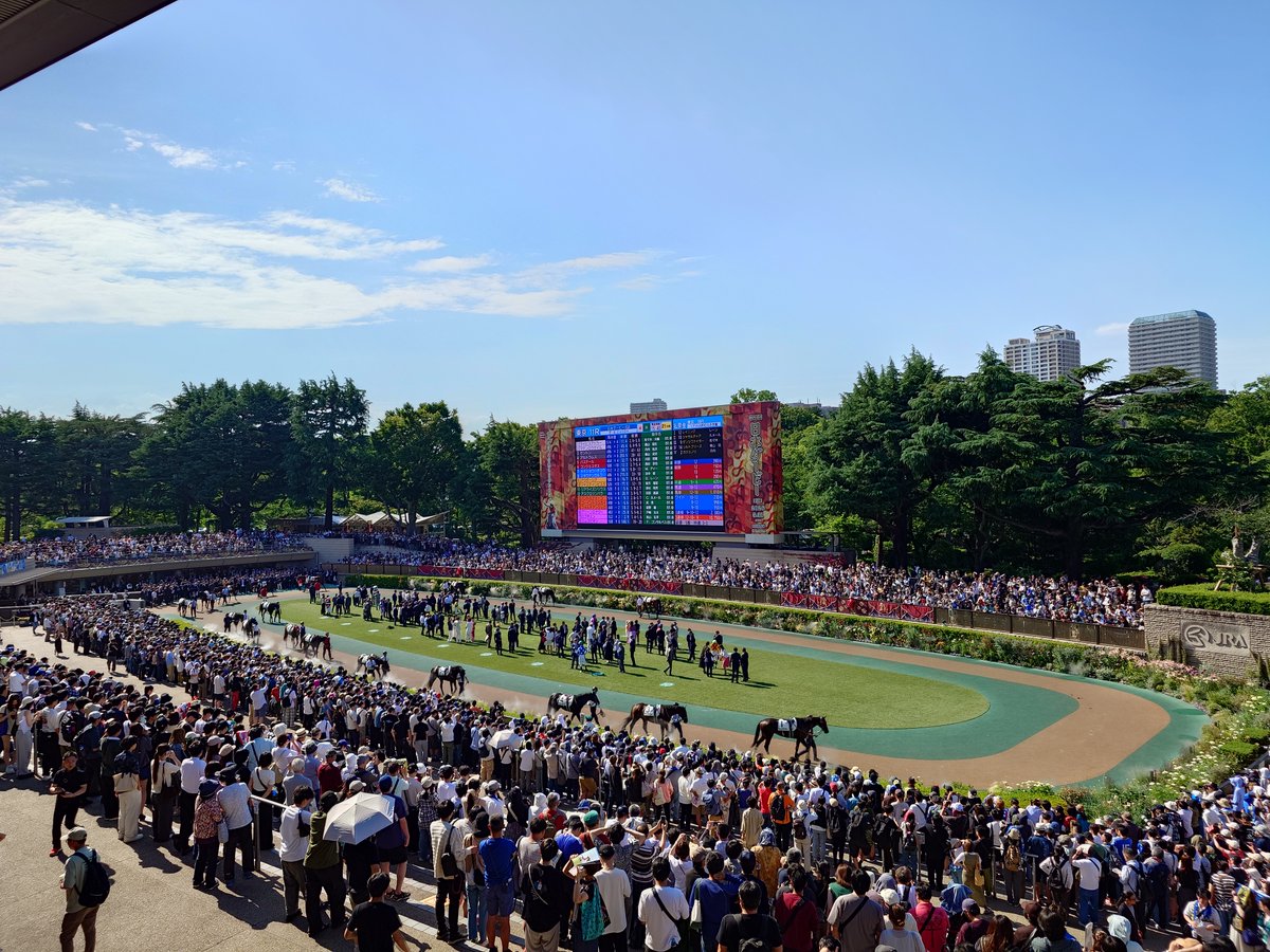fulraria's tweet photo. 🐴すでに初夏の熱気の府中、第93回 日本ダービーに行ってきました。
1枚目：馬場内からのメインスタンド
2枚目：11Rのパドック全景
3枚目：勝馬ロブチェンのパドックの様子
4枚目：11Rラスト500m付近
松山弘平騎手はダービー初勝利。また、ロブチェンはクラシック二冠達成。おめでとうございます！🐴 https://t.co/FrN00ChdLa