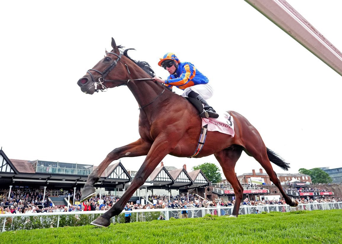DCNetwork111's tweet photo. Does Constitution River win the 3:30 at Chantilly today?  

Our live terminal is telling us some interesting detail! 

Sign up to https://t.co/ONVi2lvva5 for a free trial https://t.co/oUYIYDaKsA