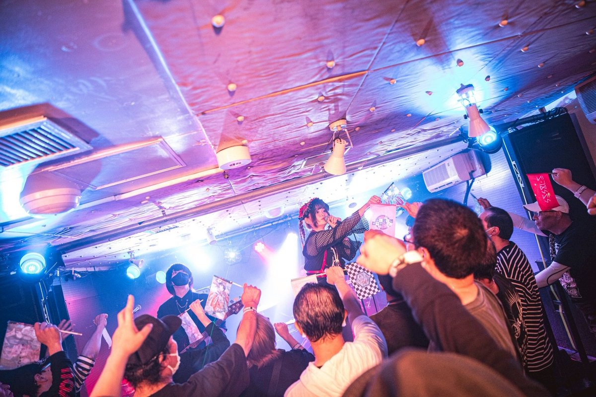 OverpassFAB's tweet photo. The OverPass 2026
速報レポートその15！！
⚡⚡⚡
◆オトギリソウ◆
⚡⚡⚡
Photo:@Kokoa530

#TheOverpass https://t.co/snHCLsMEs8