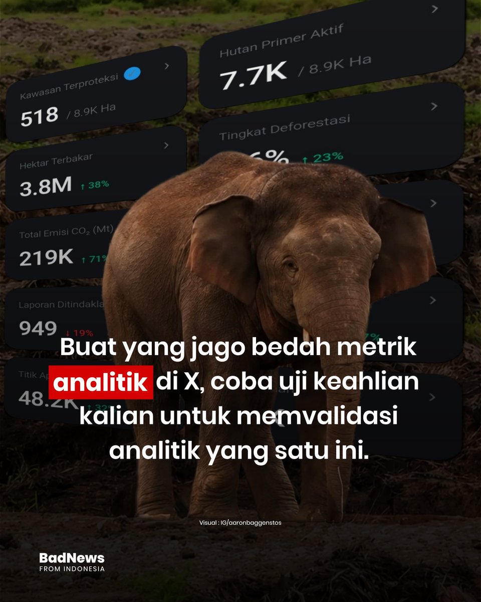 Bad News From Indonesia tweet media