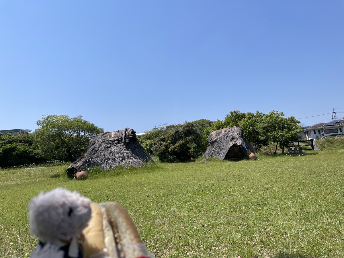 元シャチの冒険➡︎今はカルルの新しい冒険。 tweet media