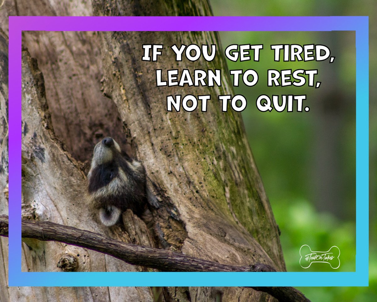 MahoneyNL's tweet photo. Sunday Could Be A Fun Day Or A Recharge Day. Or Both. What Ever You Need, I Hope You Succeed. Never Give Up. #ToutonTakes 🐕 📸 #Onwards #JoyfulAndBlissful #NeverHoldAGrudge #SaveAGoodThought https://t.co/WtBxzrbarX