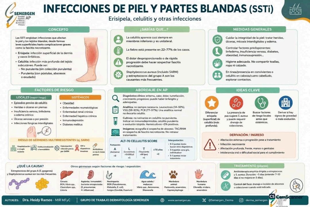 Semergen_Derma's tweet photo. No olvides 🔍 los aspectos clave sobre las infecciones 🦠de piel y partes blandas con esta infografía 📚 elaborada por la Dra 👩‍⚕️ Heidy Ramos. #dermatología #semergen https://t.co/CfuFdDuV36
