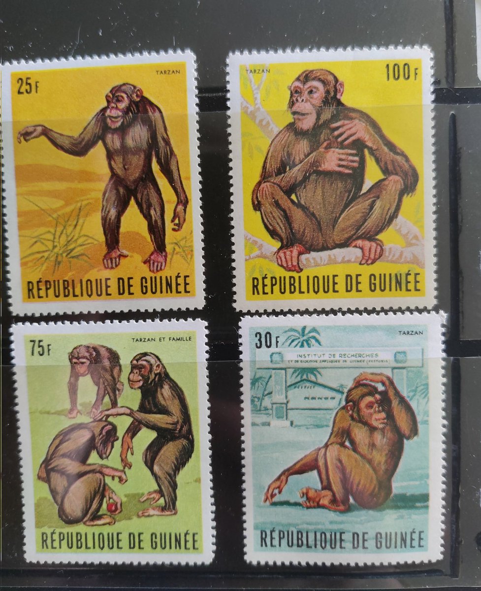 mattythechimp's tweet photo. got some more chimp stamps btw https://t.co/9JVqVwjjKv