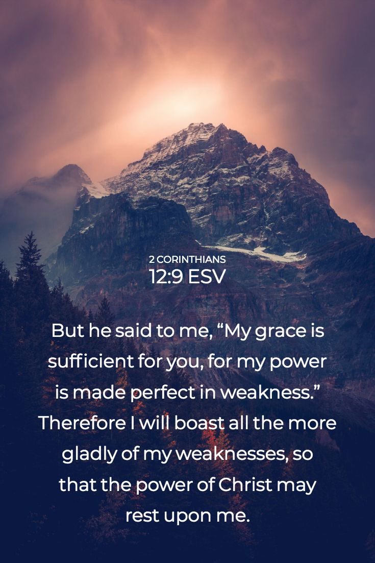 progressfitms's tweet photo. Verse of the Day

#bible #Godsword #pray #prayers #followjesus #savior #blessed #lordoflords #salvation #hope #grace #mercy #perfection #righteous #heaven
#iam #creator #Church #forgiveness #love #ourcreator #omnipotent #omnipresent #omniscient https://t.co/RVIt73YpDD