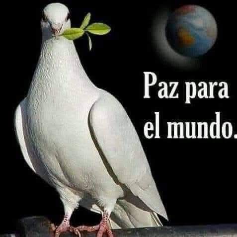 espefraternidad's tweet photo. https://t.co/pfyt4tCoBS