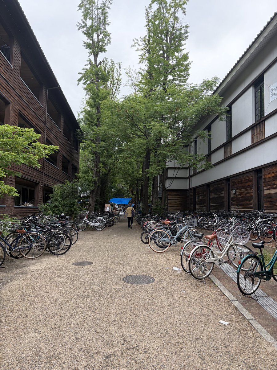 sidromodro1's tweet photo. 吉田寮祭、ありがとうございました。
現棟閉鎖されててもカオス感強くて吉田寮は吉田寮だなって思いました。楽しかったです。

セトリは
Glitter
Spring 
Blue
Light
In the moonlight
Toy 
Common
でございました。 https://t.co/TzBhrrYMrh
