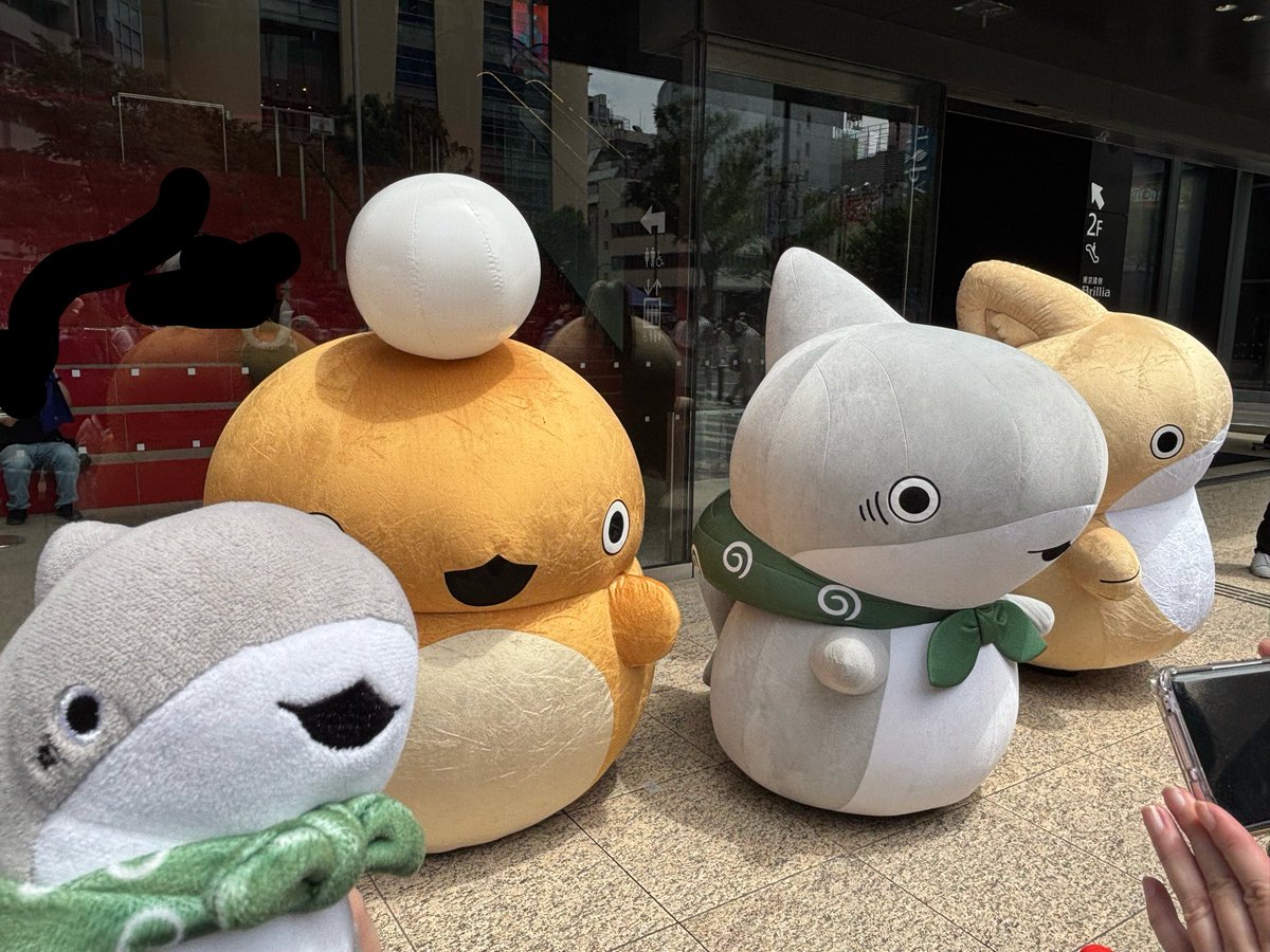 goshuinoshame's tweet photo. 今日はこやん回を堪能してから池袋までうちわ貰いに行ってきました〜
子ザメちゃん達にも会えたよ！
#おでかけ子ザメ
#子ザメとまいにち https://t.co/VxNcZ3ib4N