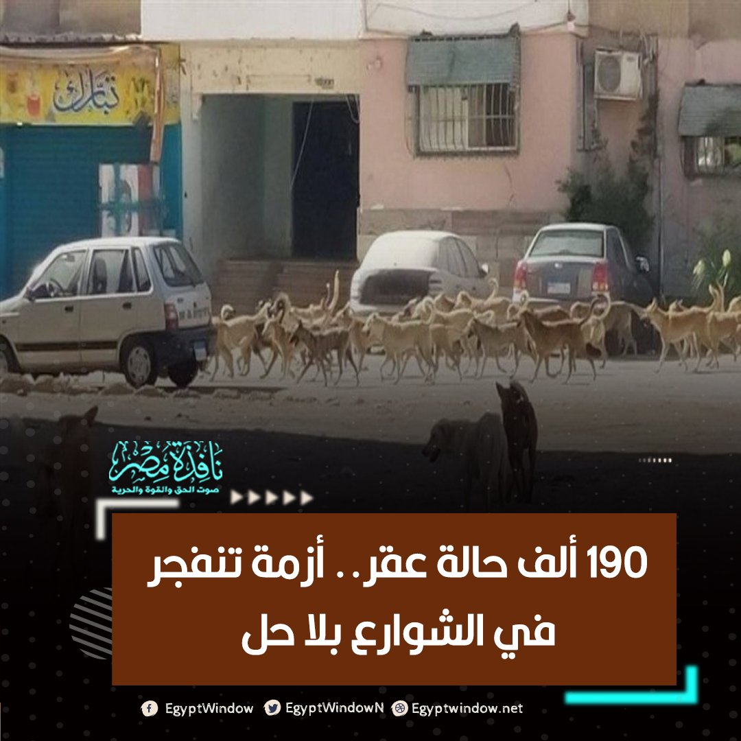 نافذة مصر tweet media
