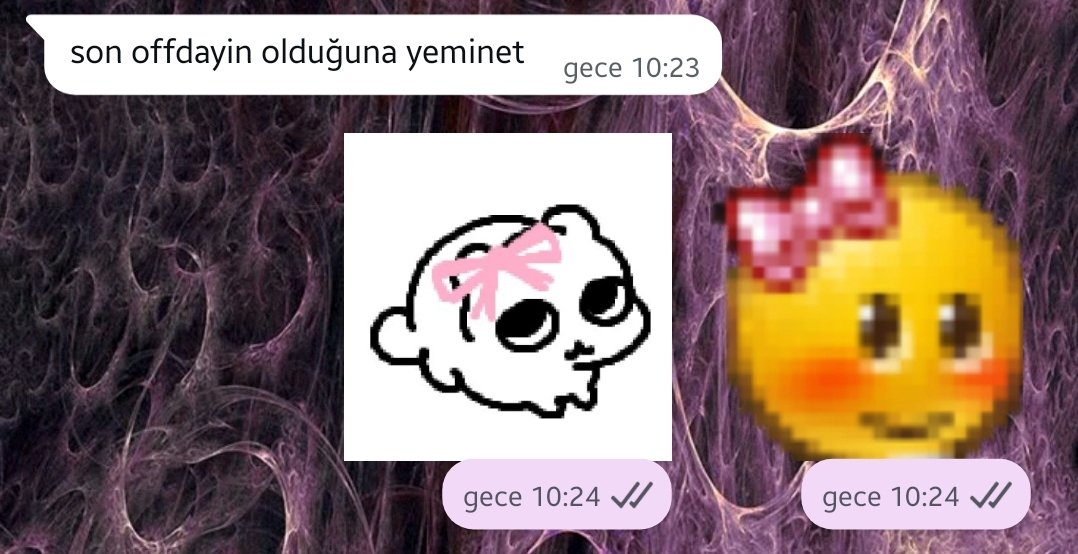 reina tweet media