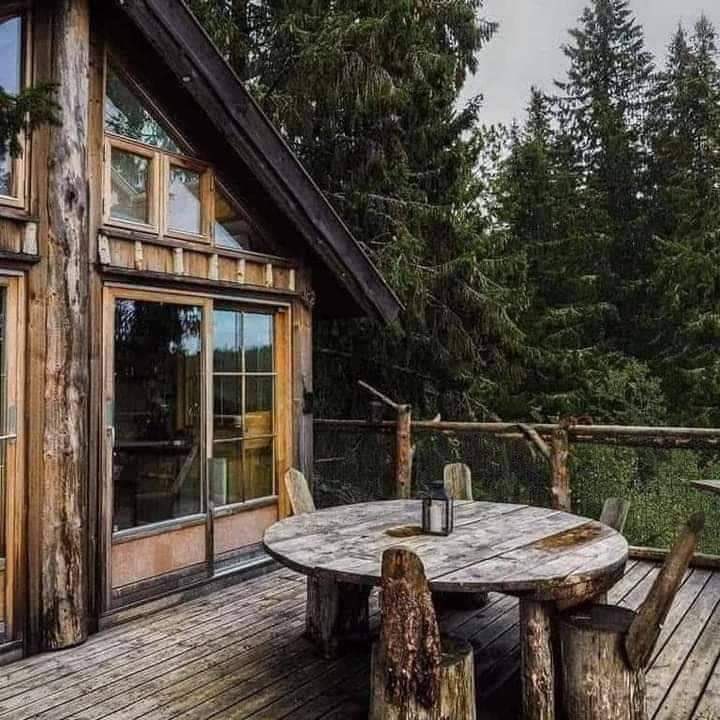 WildEarthjpeg's tweet photo. away from the city. https://t.co/fbqiWCgWrE