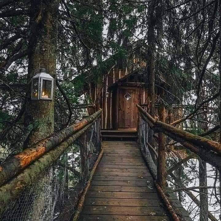 WildEarthjpeg's tweet photo. away from the city. https://t.co/fbqiWCgWrE