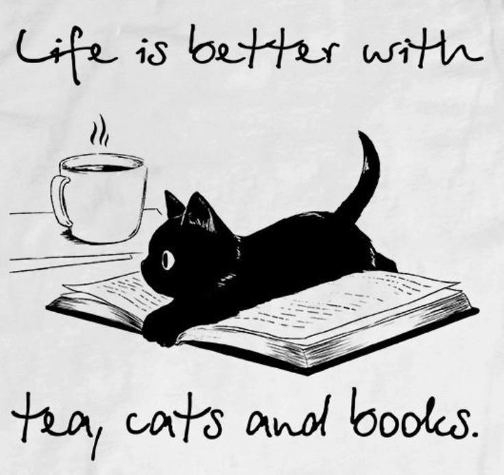damla_ktt's tweet photo. kesinlikle öyle 📚🐾 https://t.co/M2Hc2EEu4I