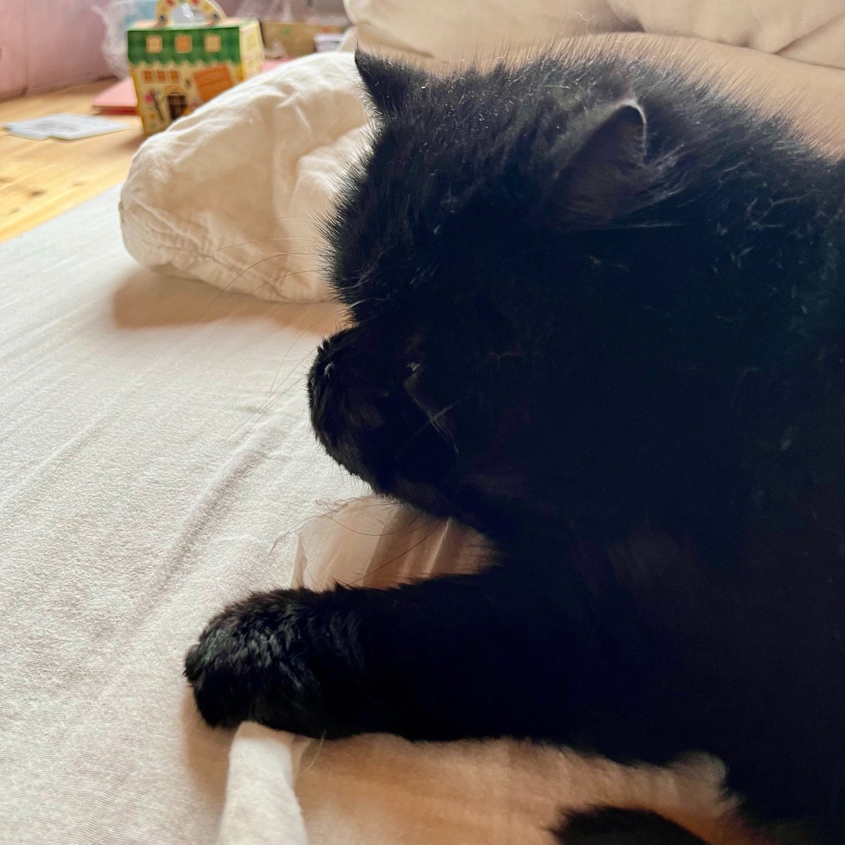 mikiochapo's tweet photo. クリームパンのにおいをかぐちーやん https://t.co/pb0x9GGMWw