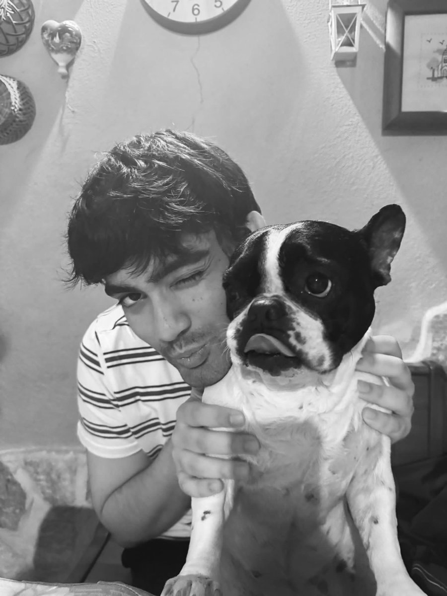 dariuzz_'s tweet photo. 🐶 https://t.co/Lnv13igBHS