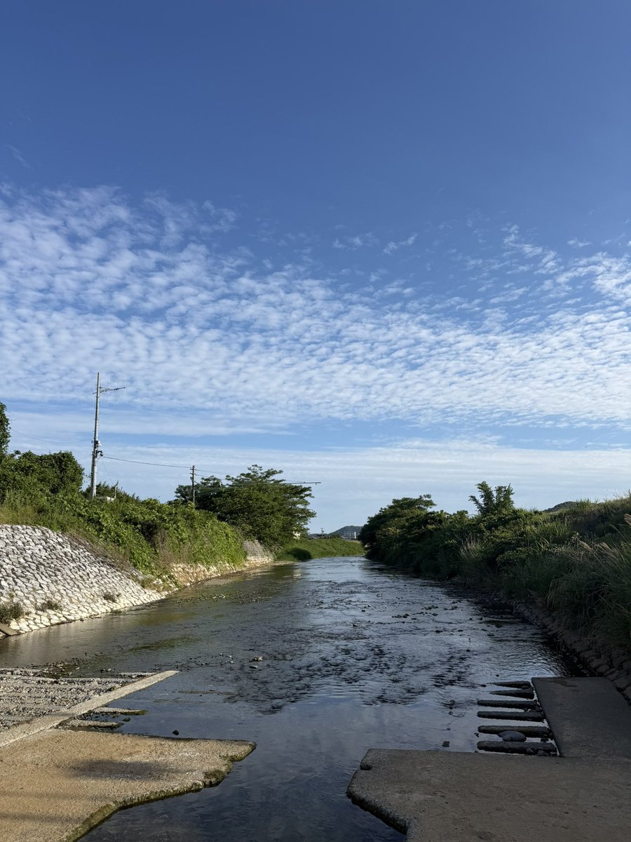 yosukezan_n's tweet photo. 昨日今日と充実してた割にストレス過多の時のように湧き上がってくる食欲がうらめしい。酒が悪いのか？ https://t.co/BP7y114K3B