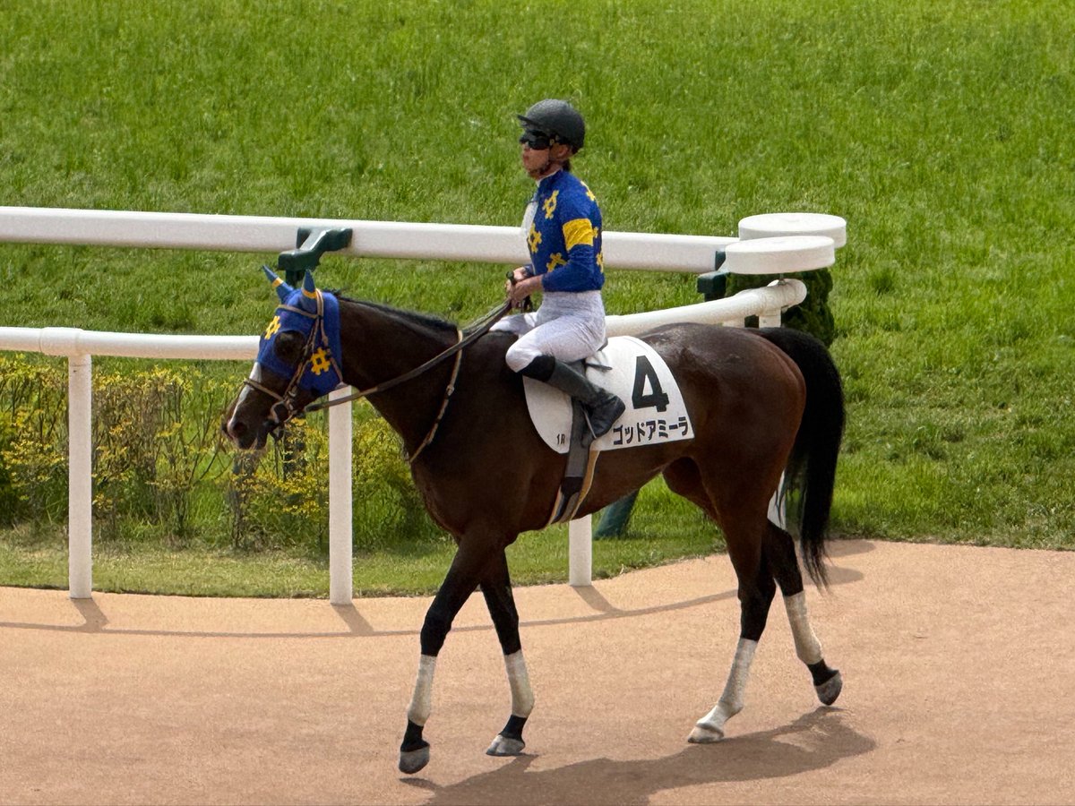 三歳未勝利様確認用 3歳未勝利