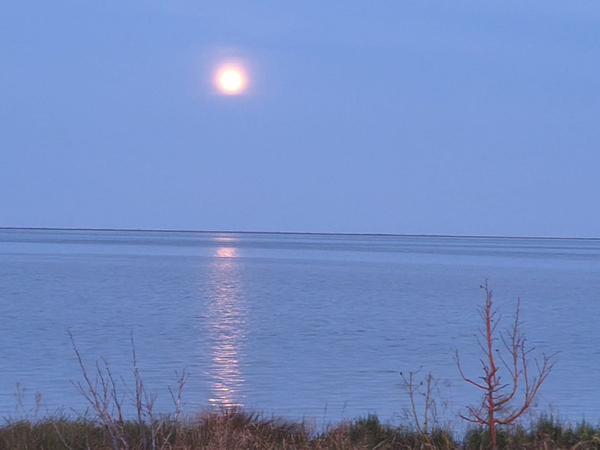 PELLIPETIT's tweet photo. Ahir XXII caminada amb lluna plena pel Delta de l'Ebre.
Preciós !! L'any vinent segur que torno https://t.co/Des2B0M8UZ